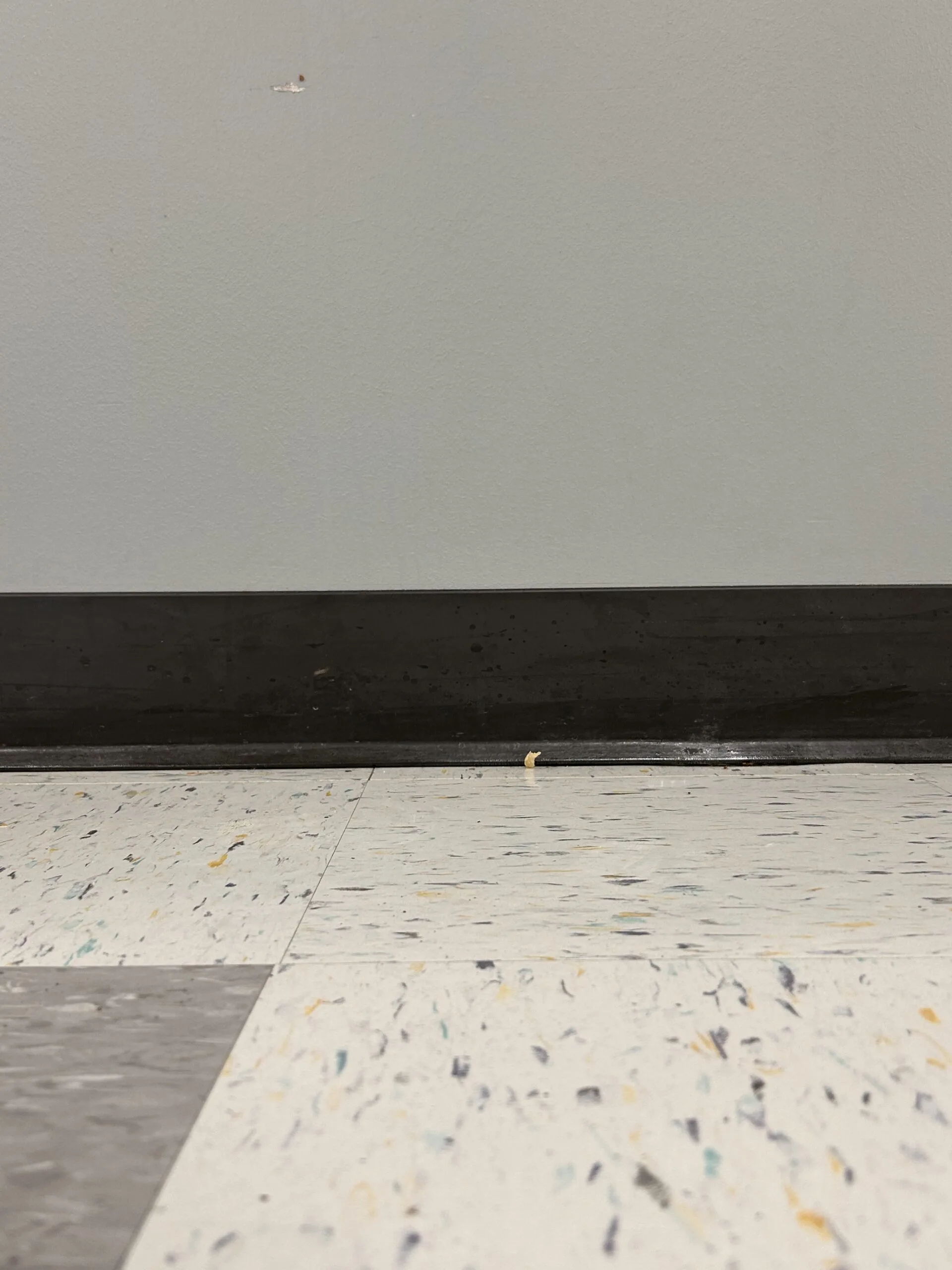Gap beneath a wall at the floor edge